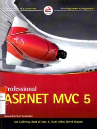 Professional ASP.NET MVC 5