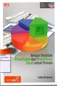 Belajar otodidak pivottable dan pivitchart excel untuk pemula